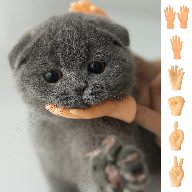 Fingerlinge zum Streicheln von Katzen